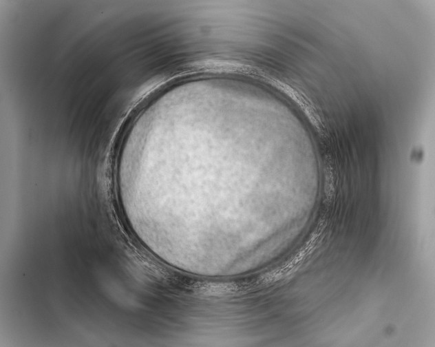 X0000103461074200810031453