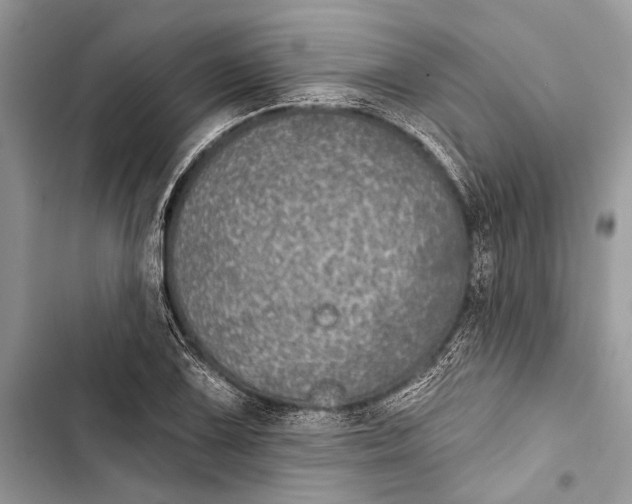 X0000103461075200810031453