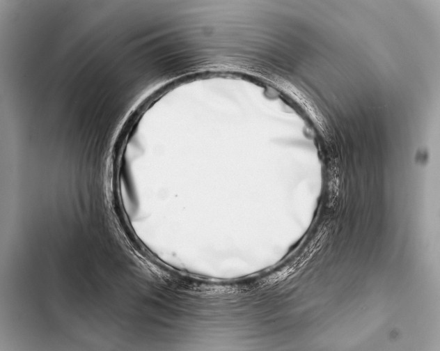 X0000103461076200810031453