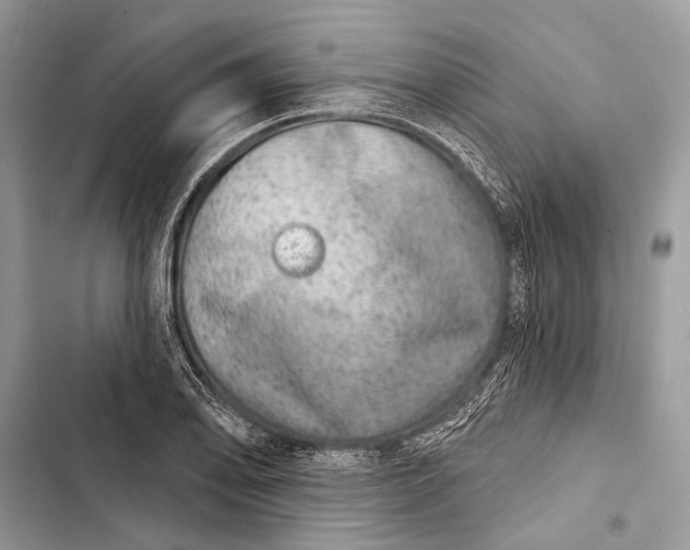 X0000103461078200810031453