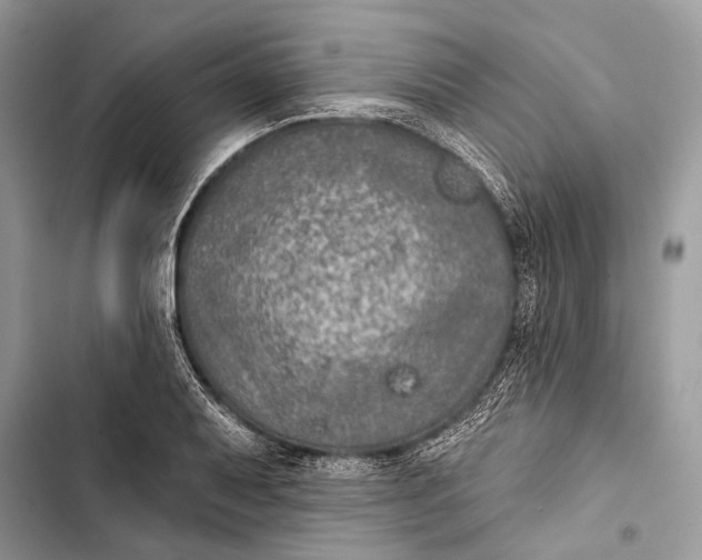 X0000103461079200810031453