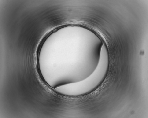 X0000103461080200810031453