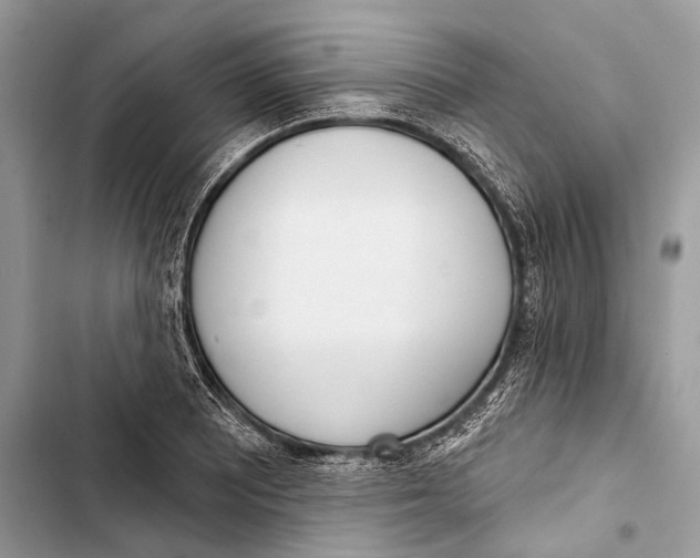 X0000103461081200810031453