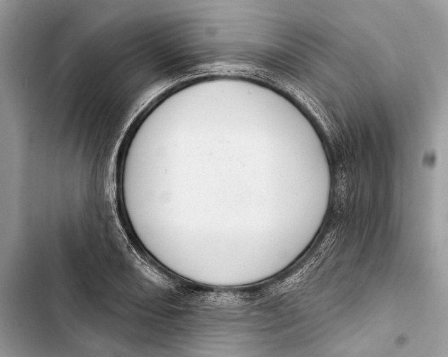 X0000103461082200810031453