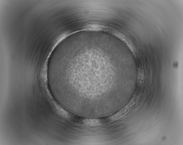 X0000103461083200810031453