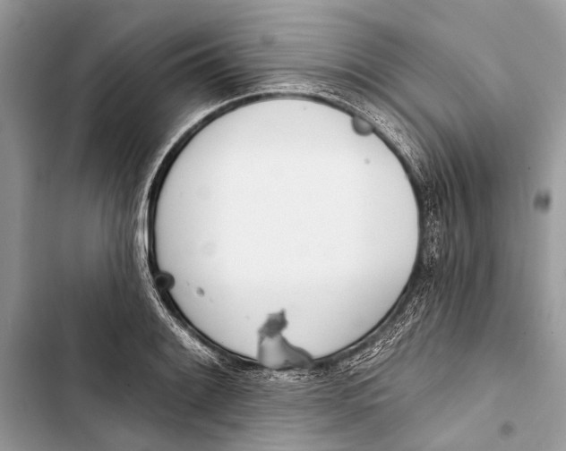 X0000103461084200810031452