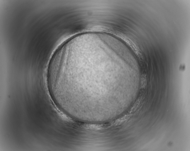 X0000103461086200810031452