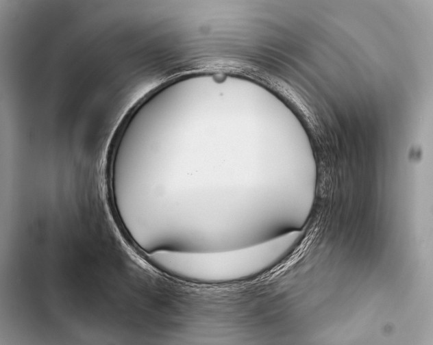 X0000103461087200810031452