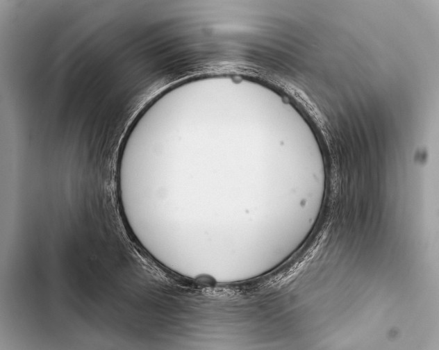 X0000103461089200810031452