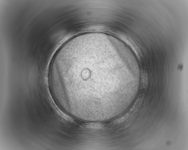 X0000103461090200810031452