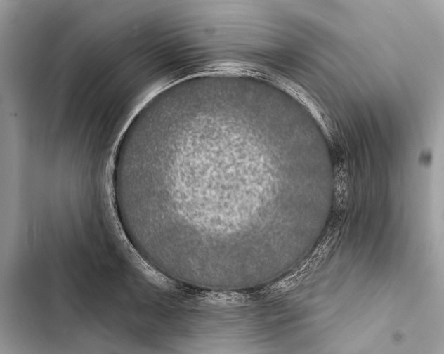 X0000103461091200810031452