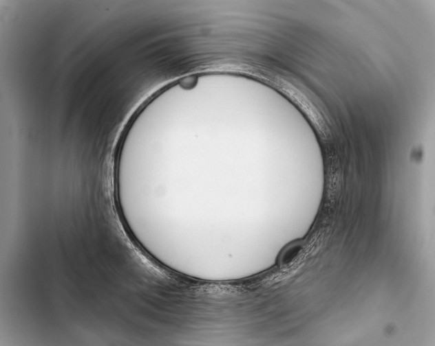 X0000103461092200810031452