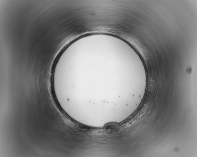 X0000103461093200810031452