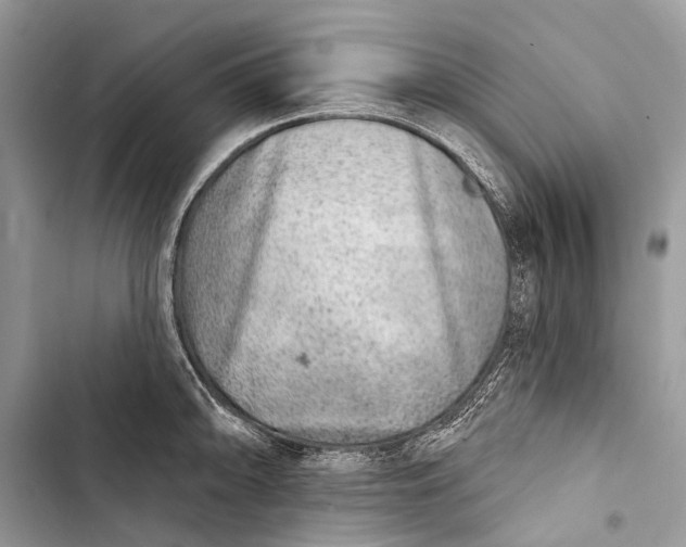 X0000103461094200810031452