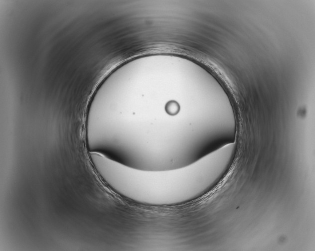 X0000103461097200810031452