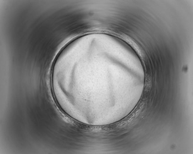 X0000103461098200810031452