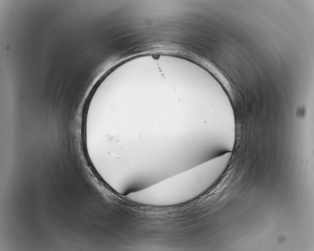 X0000103461099200810031452