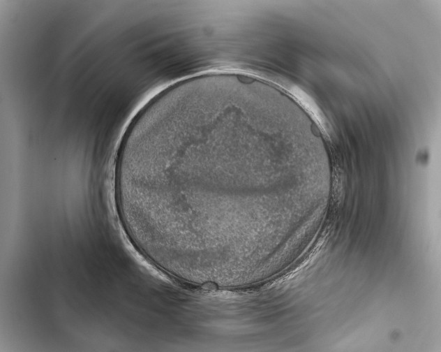 X0000103461100200810031452