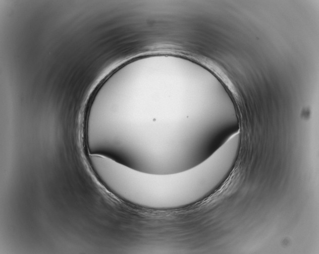 X0000103461101200810031452