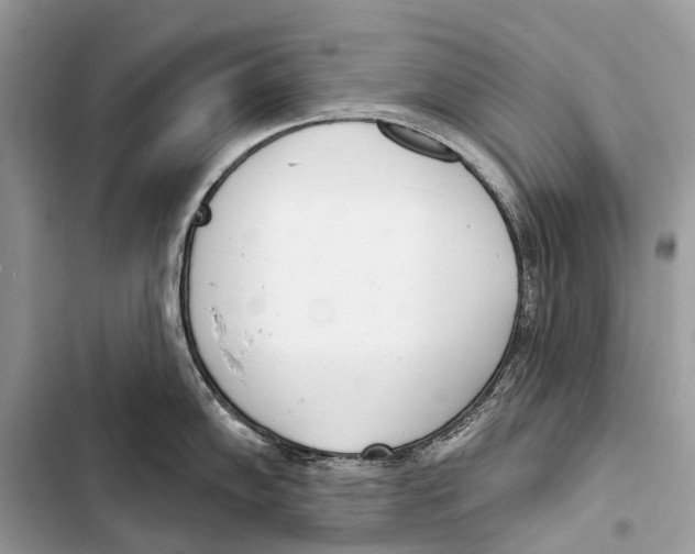 X0000103461102200810031452