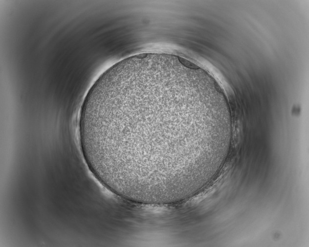 X0000103461103200810031452