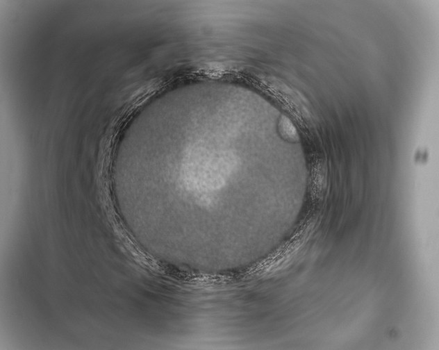 X0000103461105200810031452