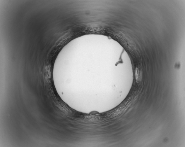 X0000103461107200810031452