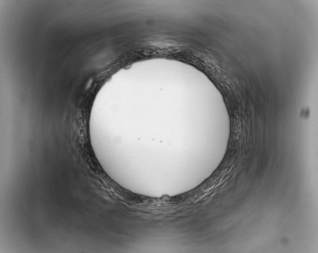 X0000103461109200810031452