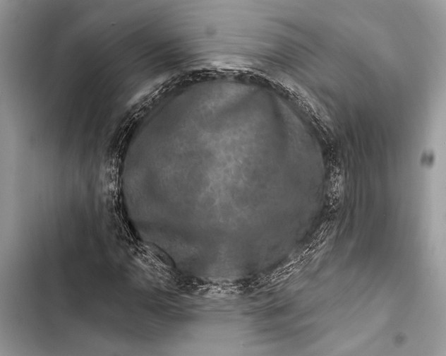 X0000103461110200810031452