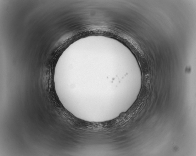 X0000103461111200810031452