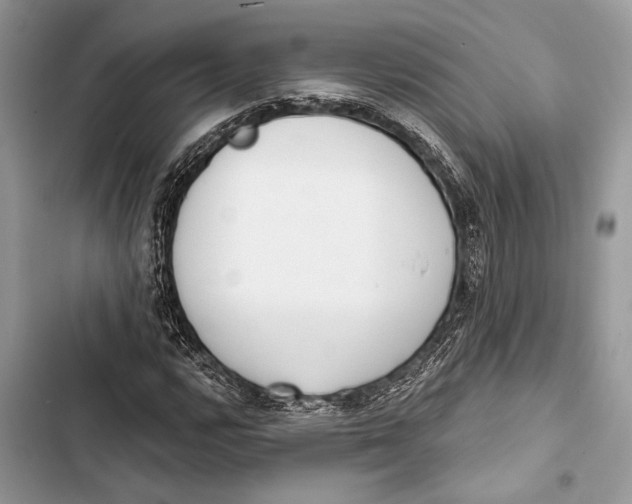 X0000103461112200810031452