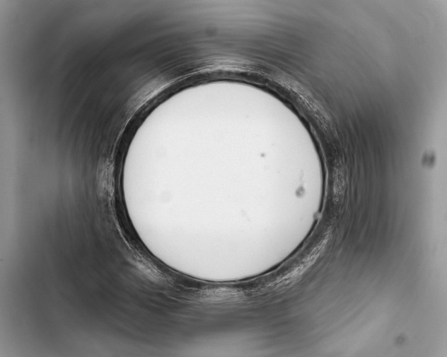 X0000103461113200810031452