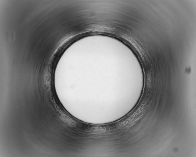 X0000103461115200810031452