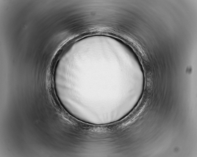 X0000103461117200810031452