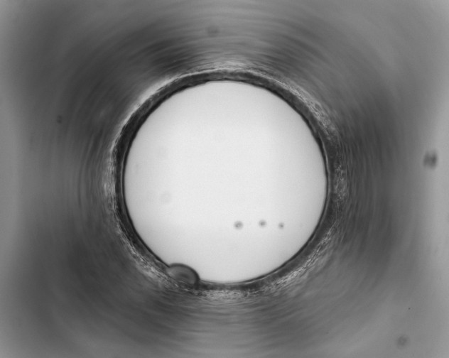 X0000103461118200810031452