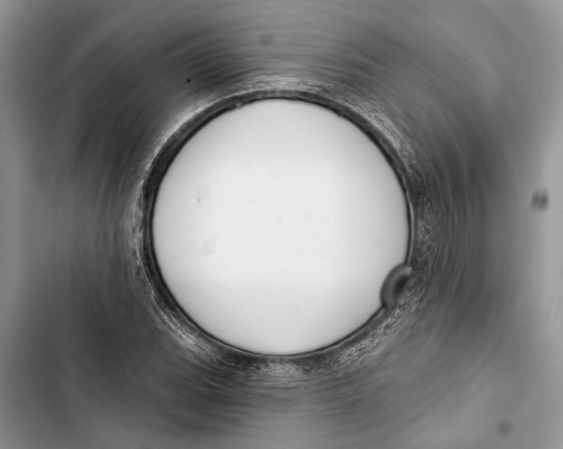 X0000103461119200810031452