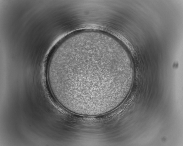 X0000103461120200810031452