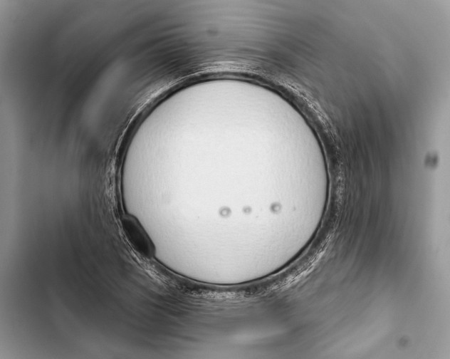 X0000103461121200810031452