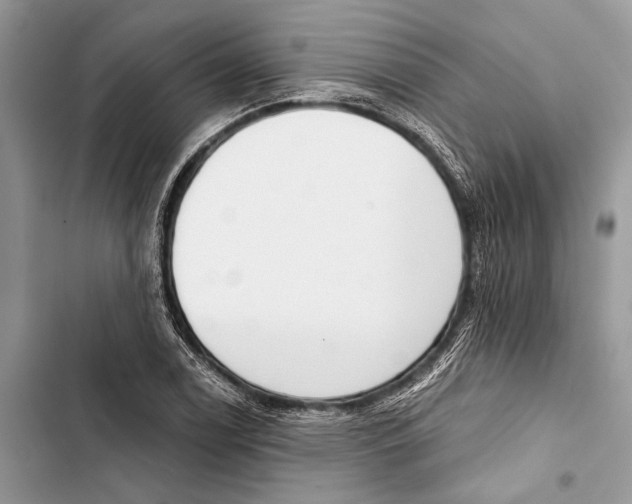 X0000103461122200810031452