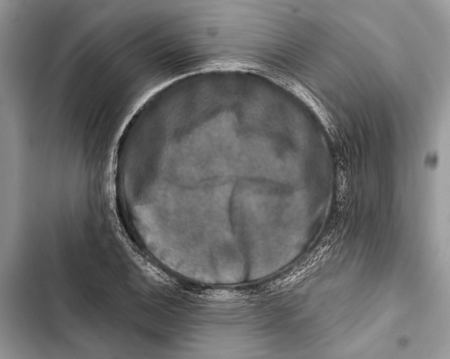 X0000103461124200810031452