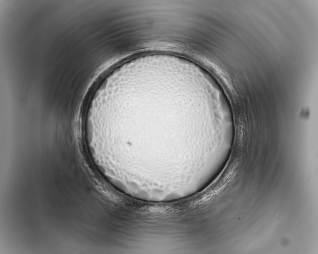 X0000103461125200810031452