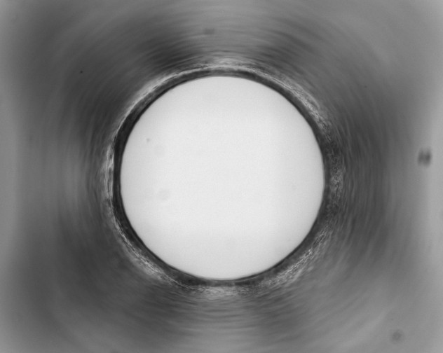 X0000103461126200810031452