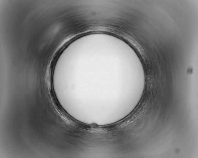 X0000103461127200810031452