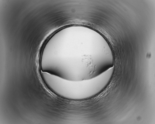 X0000103461128200810031452