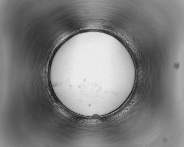 X0000103461129200810031452