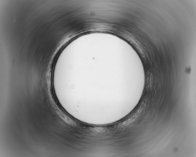 X0000103461130200810031452