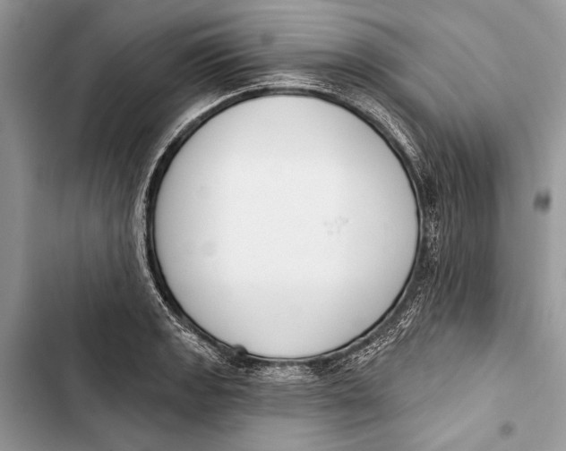 X0000103461133200810031452