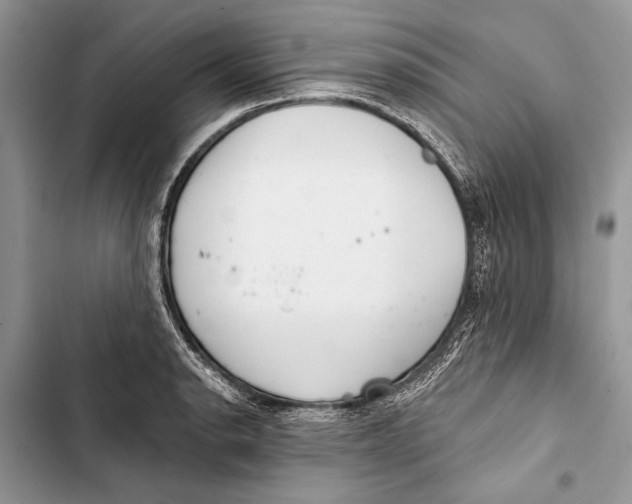 X0000103461134200810031452