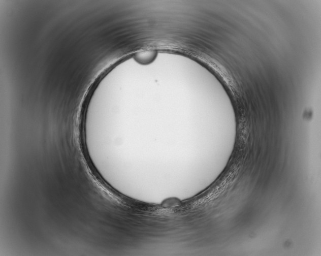 X0000103461135200810031452