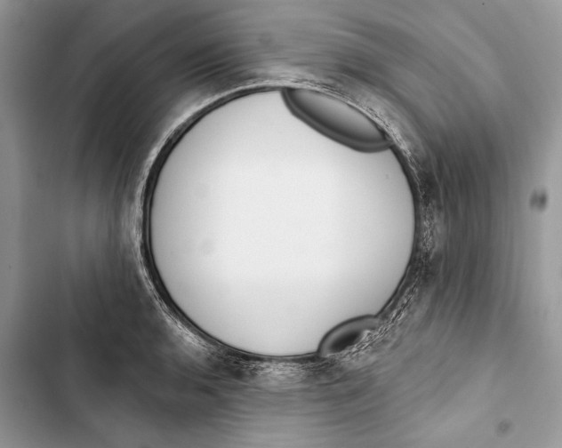 X0000103461136200810031452